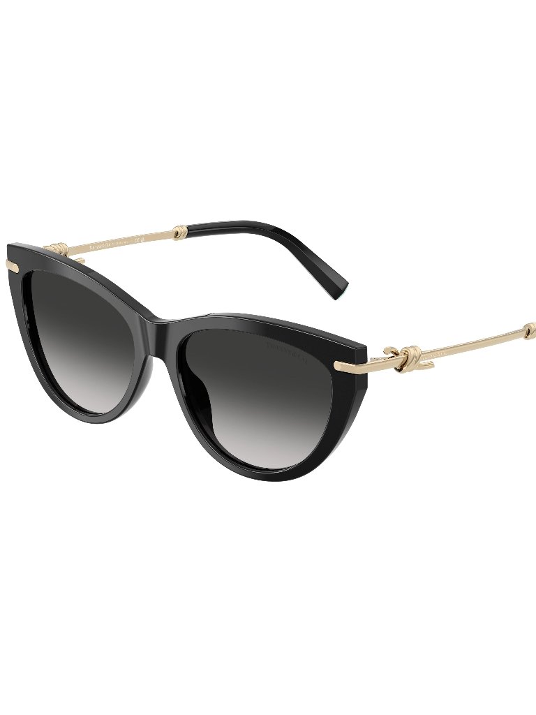 New Tiffany & Co. Tf4253 Sunglasses 55-16-145 ~ Coa + Tiffany Case + Box